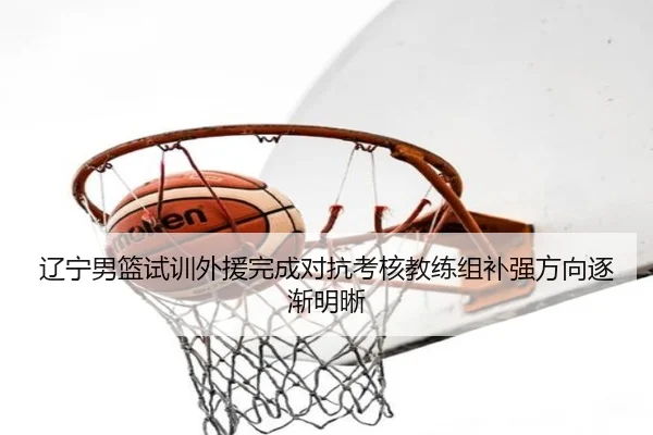 辽宁男篮试训外援完成对抗考核教练组补强方向逐渐明晰